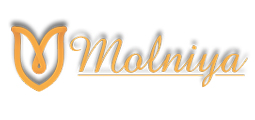 "Молния" (Україна)